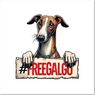 Free Galgo Posters and Art